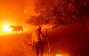 california wildfires 2020